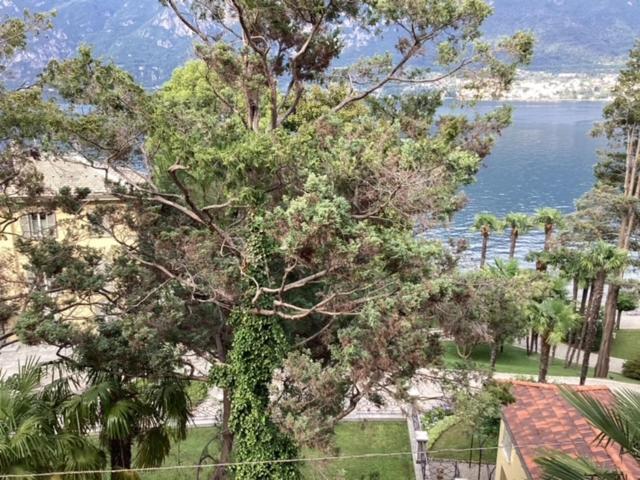 Wonderful Lake Front Appartment Near Bellagio Limonta Εξωτερικό φωτογραφία